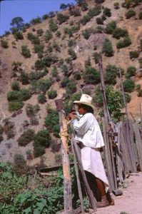 The Taramuhara men of Mexico wear cotton shirts with full, gathered sleeves an a skirt that folds diaper-like between the legs and dips to a point in the back. © Geri Anderson 2001.