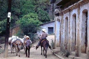 Burros are more common than automobiles on the streets of Batopilas, Chihuahua in the majestic Copper Canyon. Dusty trucks and Mexican cowboys on horseback share the narrow lanes. © Geri Anderson 2001.