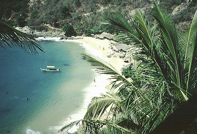Carrizalillo Beach
