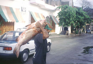 A man carries home a very fresh fish in Puerto Escondido, Oaxaca © Geri Anderson, 1999