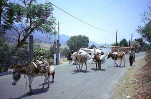 Vista Hermosa, Oaxaca