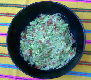 Guacamole, with its delicious flavor and Mexican flag colors, always hits the spot. © Daniel Wheeler, 2009