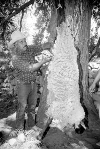 A Mexican rancher carves up a sheep. © Michael Allan Williams, 1997