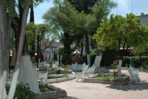 Rosebushes, orange trees and jacaranda trees are just a few of the many flowering plants and trees in bloom at the Rafael Paez Garden in historic Jerez, a Pueblo Mágico or Magic City.
