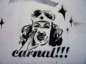 The "Carnal!!!" stencil is ubiquitous in Mexico City's Coyoacan district. © Anthony Wright, 2009
