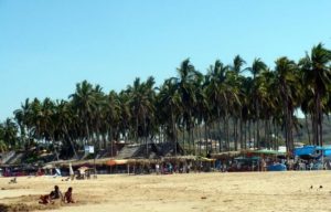 The romance of Chacala's wide palm lined beach, interspersed with mahogany palm and fig trees, is dazzling. Situated on the coast of Nayarit, this Mexico beach is off the beaten tourist track. © Christina Stobbs, 2009