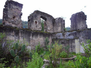 Forgotten ruins in the forest bear witness to the former glory of Mexco's Dos Estrellas mine in southern Michoacan. © Anthony Wright, 2009