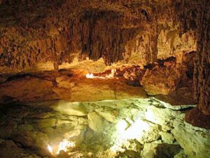 The cenote, a water-filled sink hole or natural spring, is cool and shadowy. © John McClelland, 2007