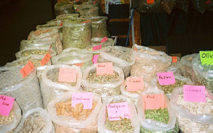 Herbs in a botica or yerberia in Amarillo are sold by the ounce or bag, and the price of the herb will include advice from the yerbero who will specify what quantity of the herb to use and how to take it. The most common form is herbal teas. In other cases the herb may be applied directly to the affected area. © John G. Gladstein, 2010