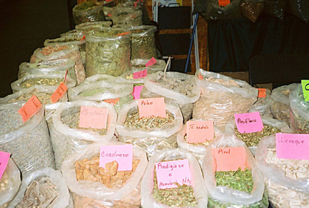 Herbs in a botica or yerberia in Amarillo are sold by the ounce or bag, and the price of the herb will include advice from the yerbero who will specify what quantity of the herb to use and how to take it. The most common form is herbal teas. In other cases the herb may be applied directly to the affected area. © John G. Gladstein, 2010