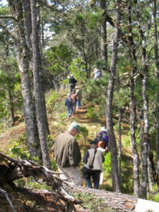 Hiking in the mountains of Oaxaca, Mexico © Alvin Starkman, 2011