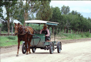 Mennonite country