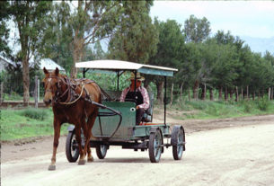 Mennonite country