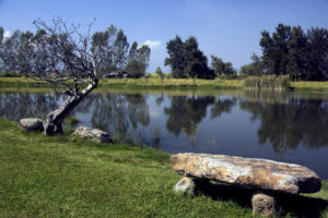 The pond at Hacienda La Labor in Jalisco, Mexico. Thanks to the abundance of water here, the Hacienda did especially well before the creation of La Vega Dam. © John Pint, 2011