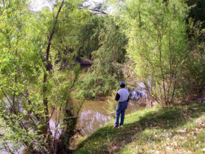 Rivers flowing through different regions of Durango generate an interesting and enjoyable change of scenery. The Río Nazas is one of Durango's major waterways, ideal for wildflower enthusiasts.