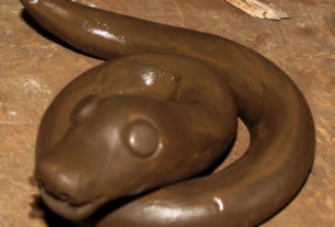 This sneaky snake, having crawled out of the clay at the encouragement of Antonia Cruz Rafael's hands, coils to to strike. The skilled ceramist caries on the artisan traditions of Ocumicho, Michoacan. © Travis Whitehead, 2009