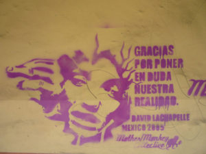 "Thanks for putting a doubt in our reality" — a nod to U.S. photographer David La Chapelle. This example of stencil grafitti art is by the Mother Monkey Collective of Mexico City. © Anthony Wright, 2009