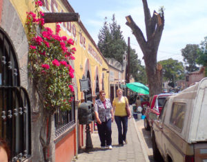 Bougainvillea climbs the wall of the Mercado de Artesanias in Tequisquiapan. Handicrafts from Queretaro and other regions of Mexico are featured here. © Daniel Wheeler, 2009