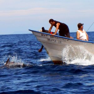 An ecotourist greets a dolphin which has come to check him out on the boat trip from San Blas to Mexico's Isla Isabel © John Pint, 2013