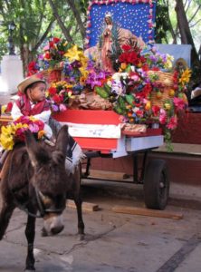 This photo set for pictures commemorating the birthday of the Virgin of Guadalupe is complete with a live donkey © Tara Lowry, 2014