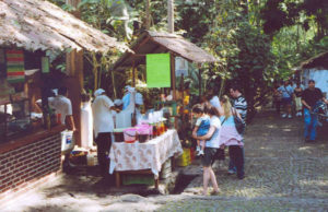 Hungry? Try some gorditas or tacos, or a plate of quesadillas with squash blossoms.