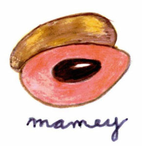 Mamey looks something like a small football, with rough brown skin that is cut open to reveal soft, sweet orange flesh surrounding a large black pit. — El mamey parece un pequeño balón de futbol americano, con una piel café y áspera que se abre para revelar una pulpa suave y dulce, de color anaranjado alrededor de una semilla negra.