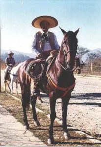 José Abel & Stallion