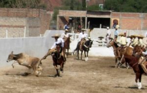 The Mexican version of bulldogging. © Dale Hoyt Palfrey 2007