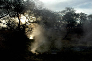 Trees, shadows, steam and the rays of the early morning sun combine to cast an eerie spell over the hot river of Los Hervores. Its hissing and spitting natural geyser is located seven kilometers southeast of the former Jalisco hacienda of El Carmen. © John Pint, 2009