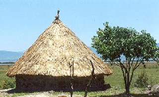 A calihuey, or Huichol temple (sometimes spelled "kalihuey") © Christopher Jordan English, 2003