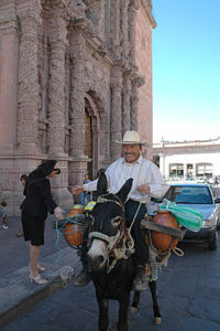 Though in ways it is very modern, Zacatecas also retains a rural charm that harkens back to another century. Here a man on his burro stops in front of the city's famed Cathedral.