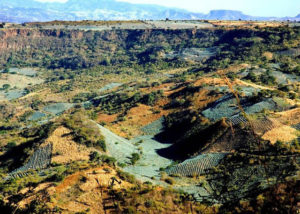 Agaves and semi-tropical orchards abound in Mexico's La Toma Canyon, with an elevation of 1000 meters. Only 15 kilometers away rises Tequila Volcano at a height of nearly 3000 meters. Both sites can be visited in one day. © John Pint, 2010