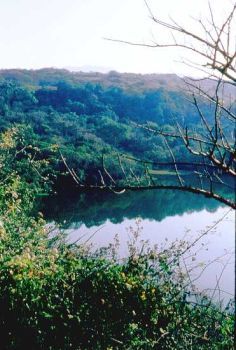 Spring feeding La Laguna Encantada