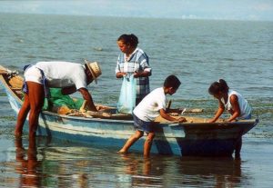 Lake Chapala: A season of hope - Sep 2003