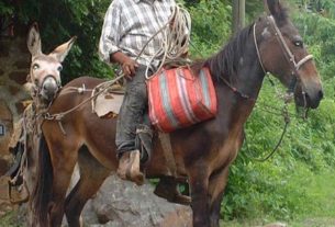 Calle Rico, Nestipac, Jocotepec