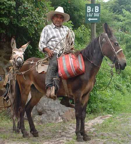 Calle Rico, Nestipac, Jocotepec