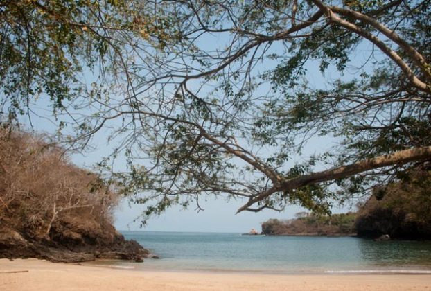 Trees hide Playa Las Cuevas from the road, making this beach on the Nayarit Riviera a hidden gem © Christina Stobbs, 2012