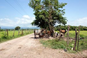 The drive to Playa Tortugas will take you on a journey of its own over Mexico's winding country roads. © Christina Stobbs, 2012