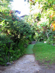 This beautiful garden surrounds the popular Osteria Italian restaurant and wine bar in Catemaco, Mexico. © William B. Kaliher, 2010