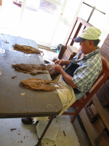 A German cigar produced in Mexico: Puros Sihuapan