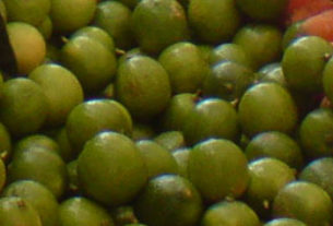 exican limes for sale in a street market © Daniel Wheeler, 2010