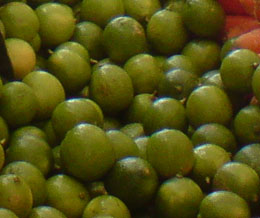exican limes for sale in a street market © Daniel Wheeler, 2010