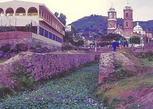 Lirio, La Palma, Lake Chapala