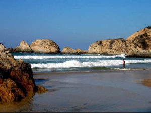 Beautiful, rugged Llorona Beach in Michoacan is located in Mexico's Tropical-Deciduous-Forest Ecosystem, an easy day's drive from Guadalajara. © John Pint, 2010