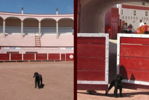The Wilkinson dogs, Milo and Pancho, explore the old bullring in Aguascalientes. © Jane Wilkinson, 2009