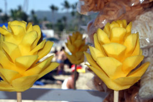 Juicy mangos on a stick are some of the tempting street fare in Mexico. © Christina Stobbs, 2011