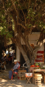 Ready for business on one of the busy market streets in downtown Melaque, Mexico. © Gerry Soroka, 2009