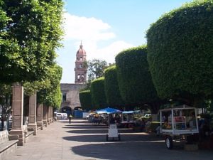 Trees in the zocalo just west of the cathedral provide welcome shade.