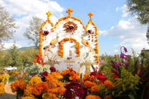 Ofrendas for the Día de Muertos vary largely while using similar flowers to create variety and uniformity in the same place.