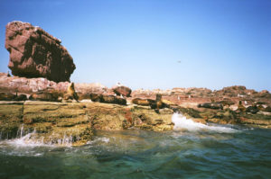 Sea lions relaxing in the sun